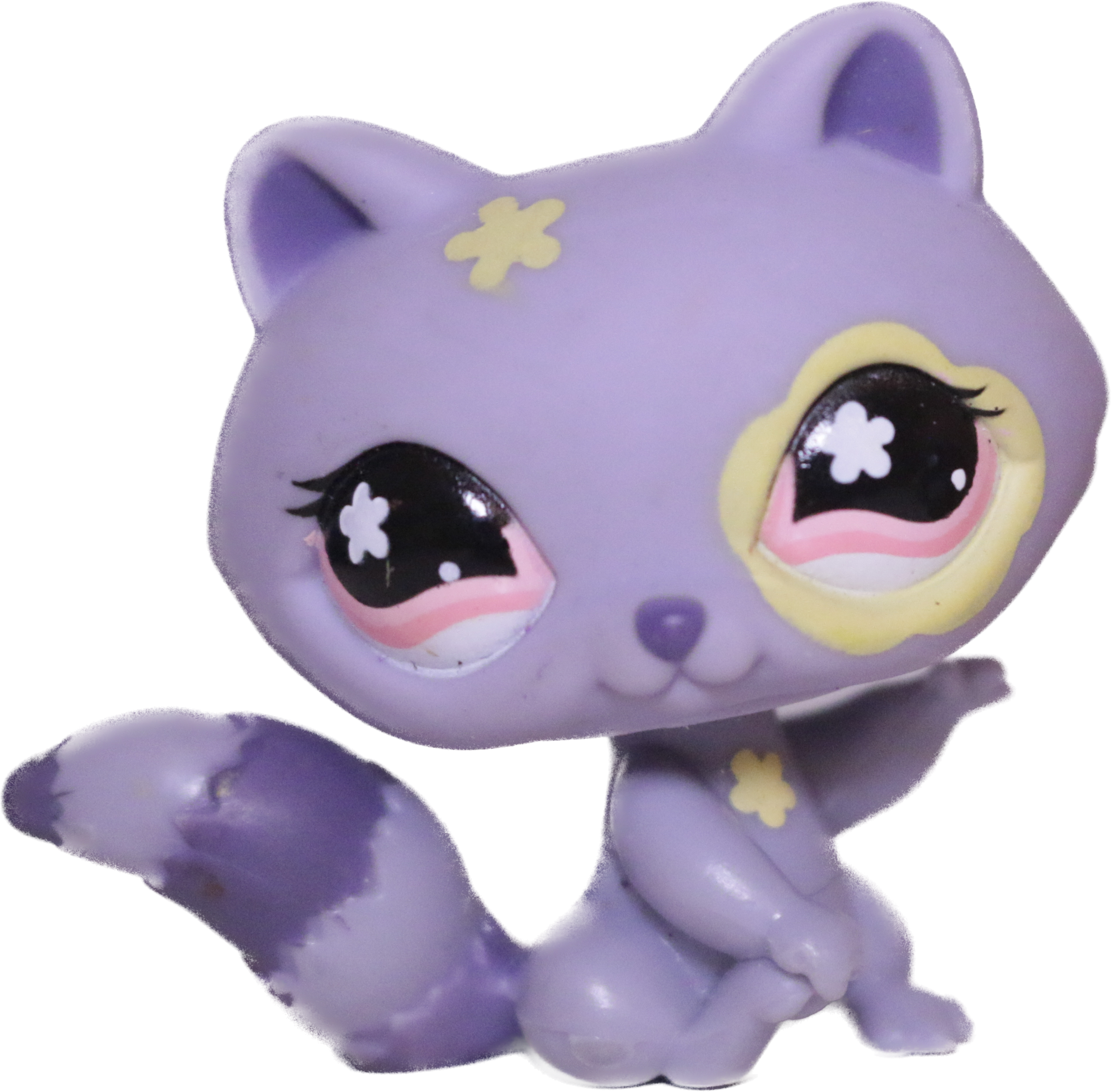 #0597 Raccoon