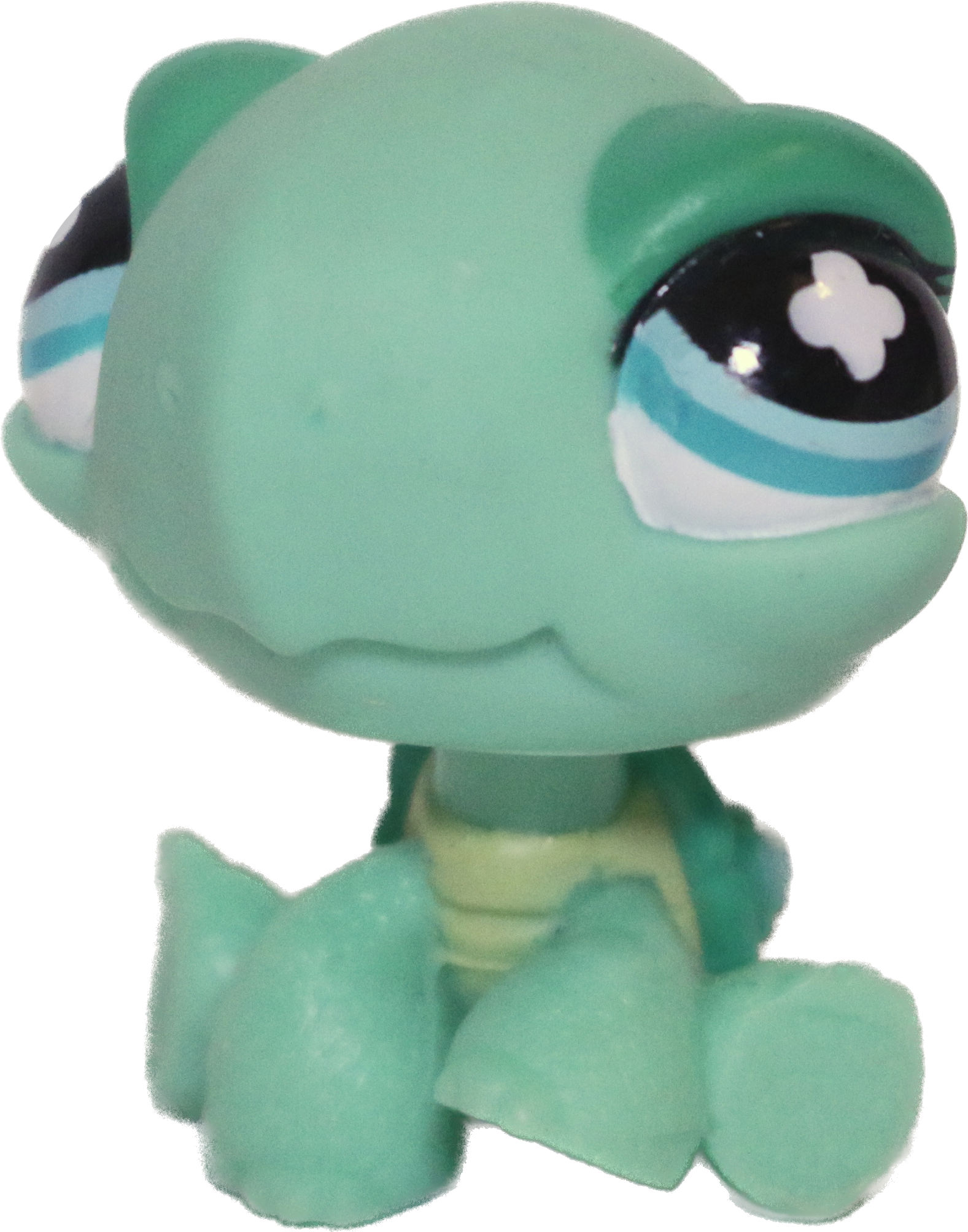 #0642 Turtle