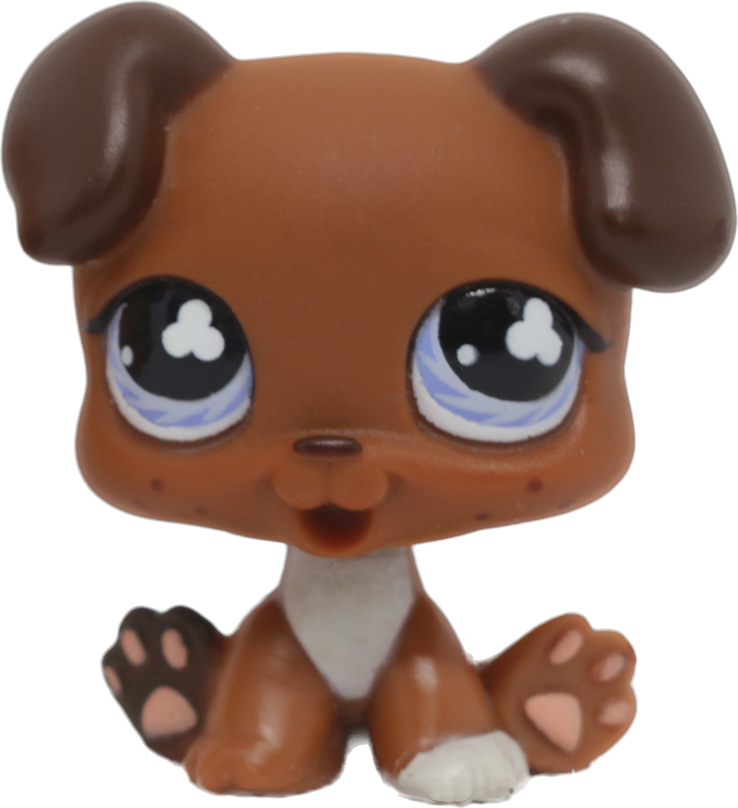 #0657 Puppy