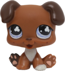 #0657 Puppy
