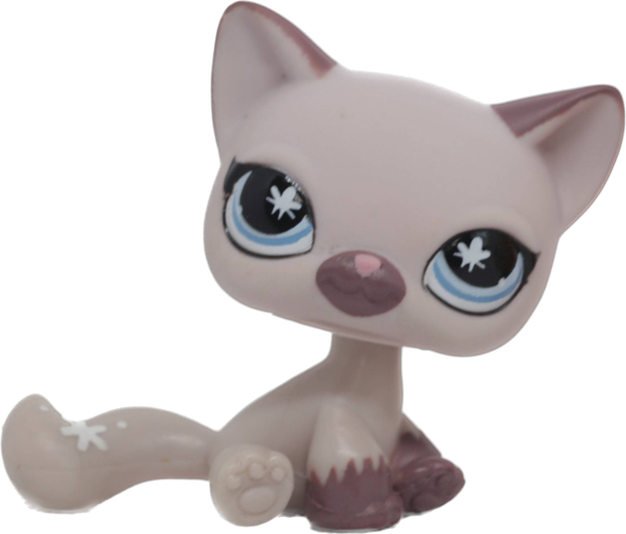 #0664 Sitting Cat