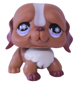 #0729 Saint Bernard