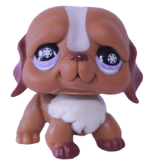 #0729 Saint Bernard