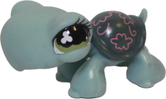 #0793 Turtle