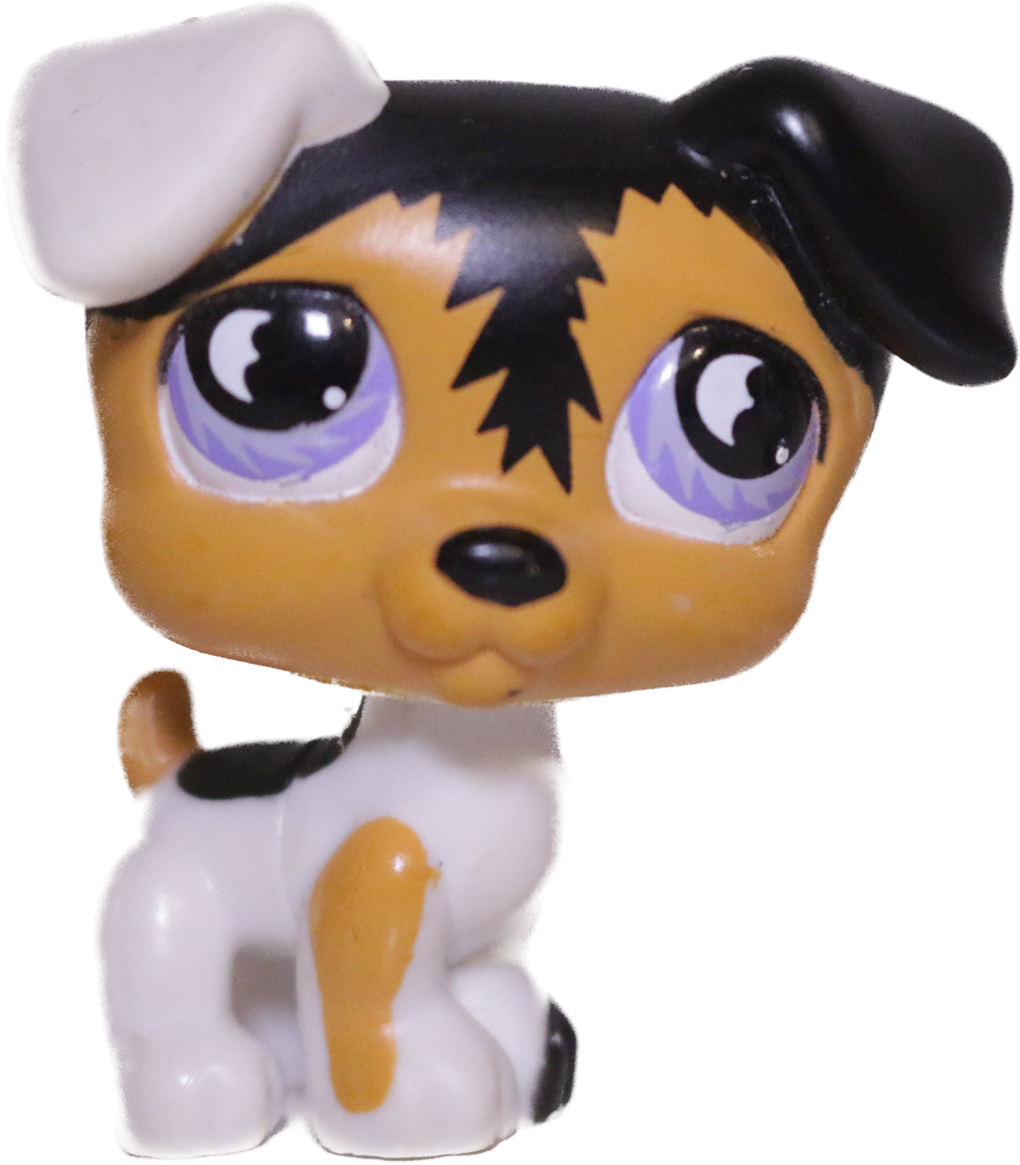 #0803 Jack Russell