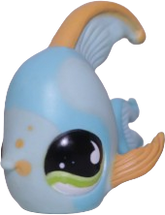 #0831 Angelfish