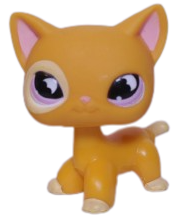 #0855 Shorthair Cat