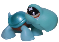 #0892 Turtle