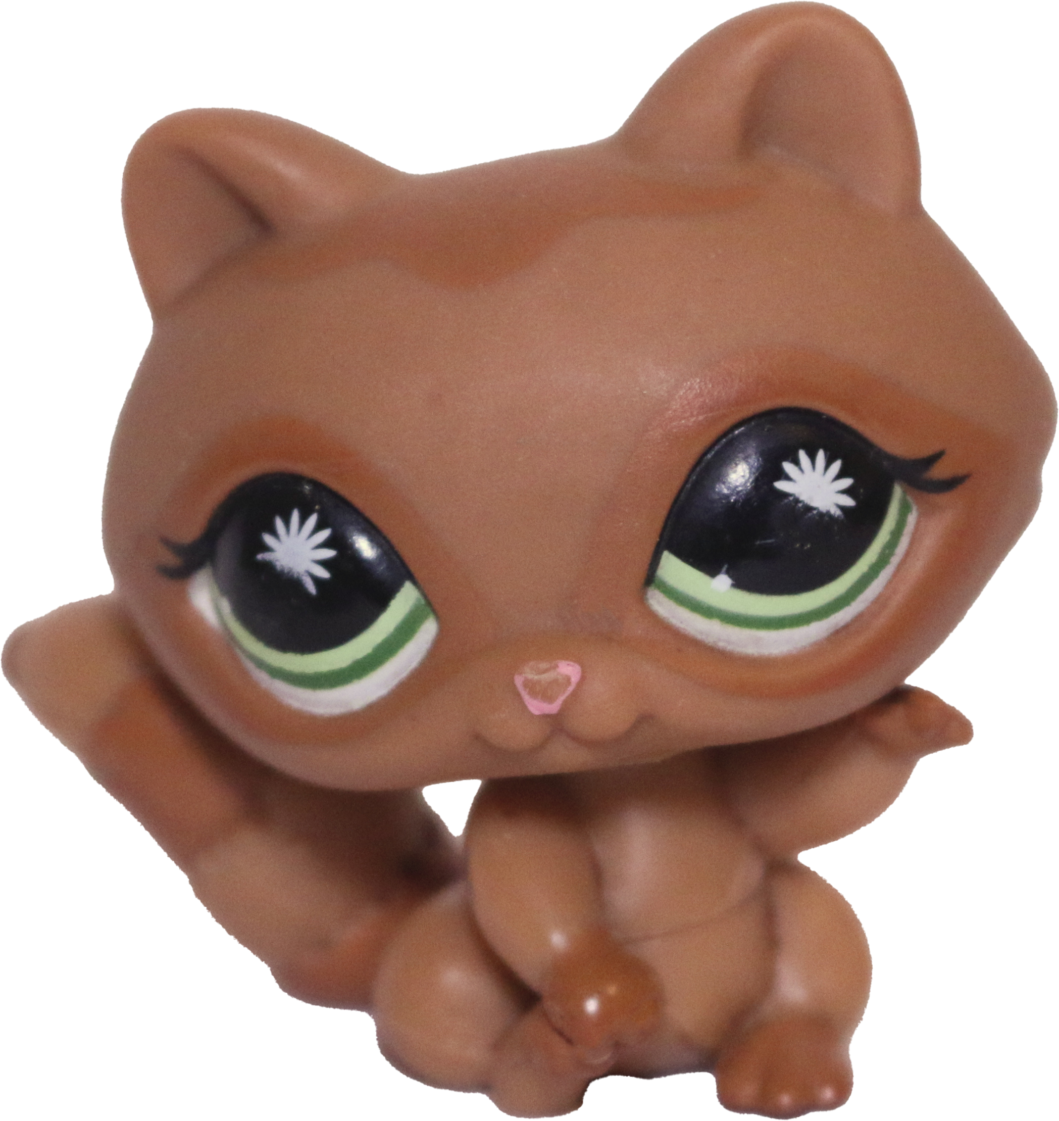 #0953 Raccoon