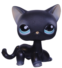#0994 Shorthair Cat