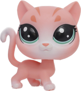 #1-102 Shorthair Cat