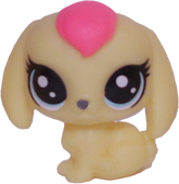 #1-193 Teensy Bunny " Cadence Bunnyton"