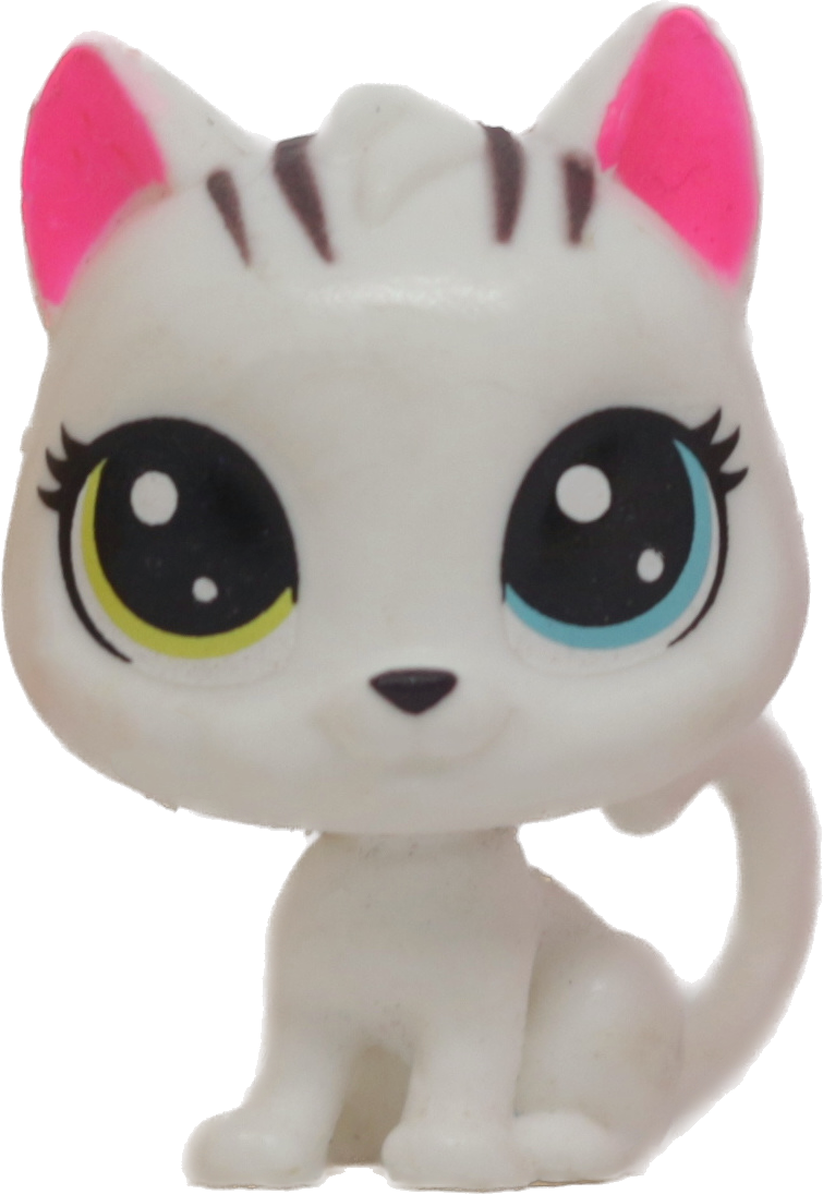 #1-2 Mini Kitten