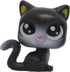 #1-23 Teensy Kitten