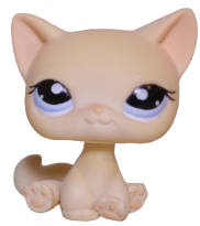 #1005 Sitting Cat