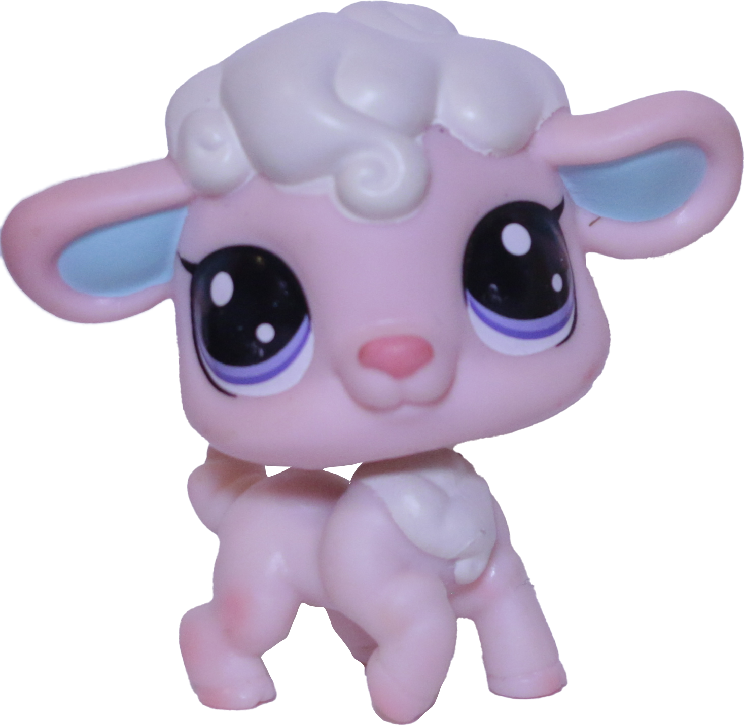 #101 Lamb "Cottontop Curlicue"