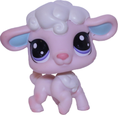 #101 Lamb "Cottontop Curlicue"