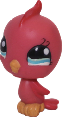 #1033 Parakeet