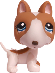 #1095 Bull Terrier