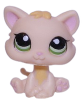 #1128 Kitten