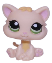 #1128 Kitten