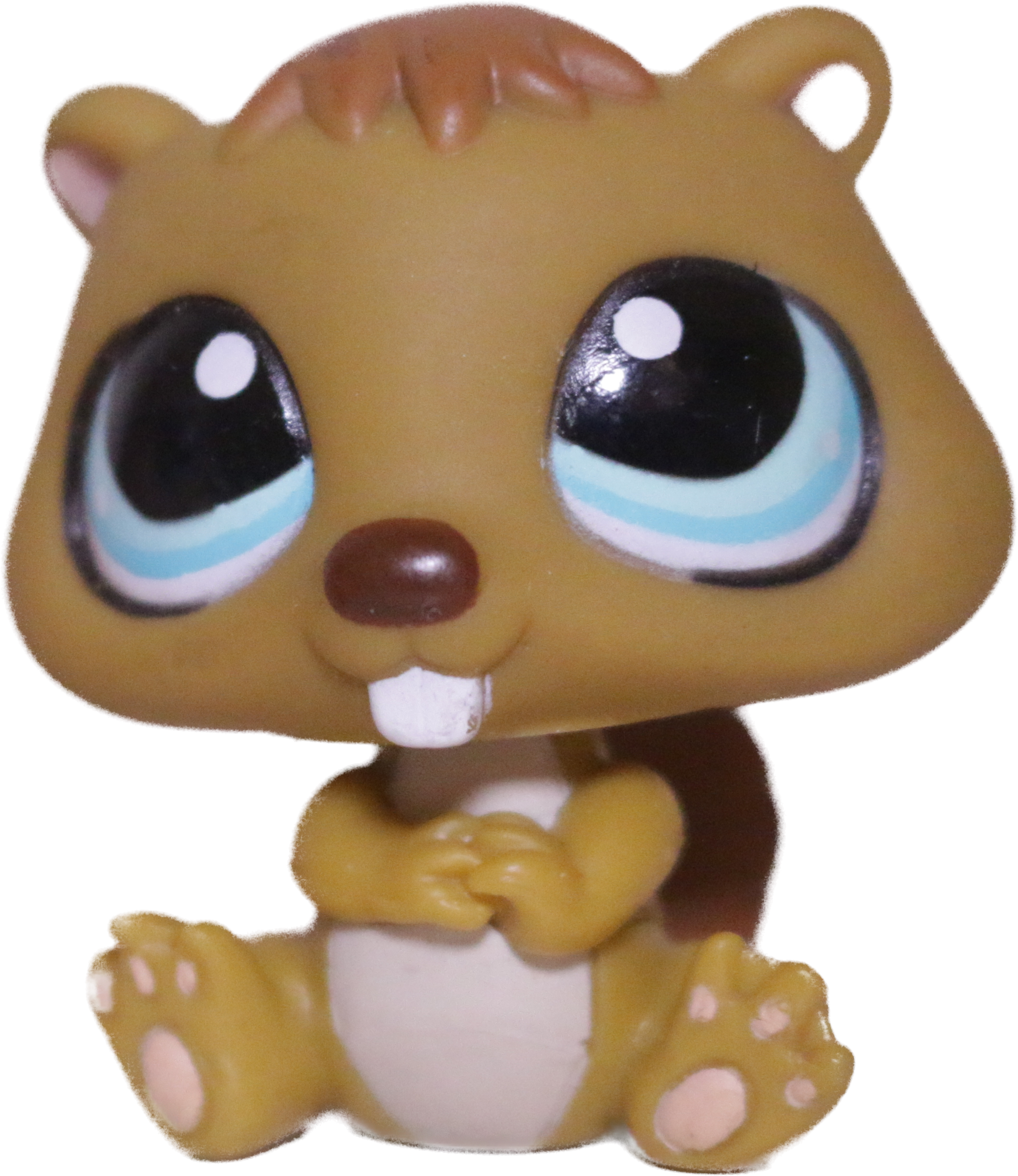 #1152 Beaver
