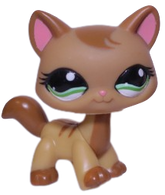 #1174 Destiny Cat