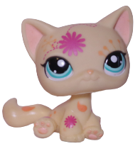 #1231 Sitting Cat