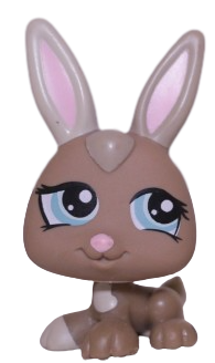#1332 Baby Rabbit
