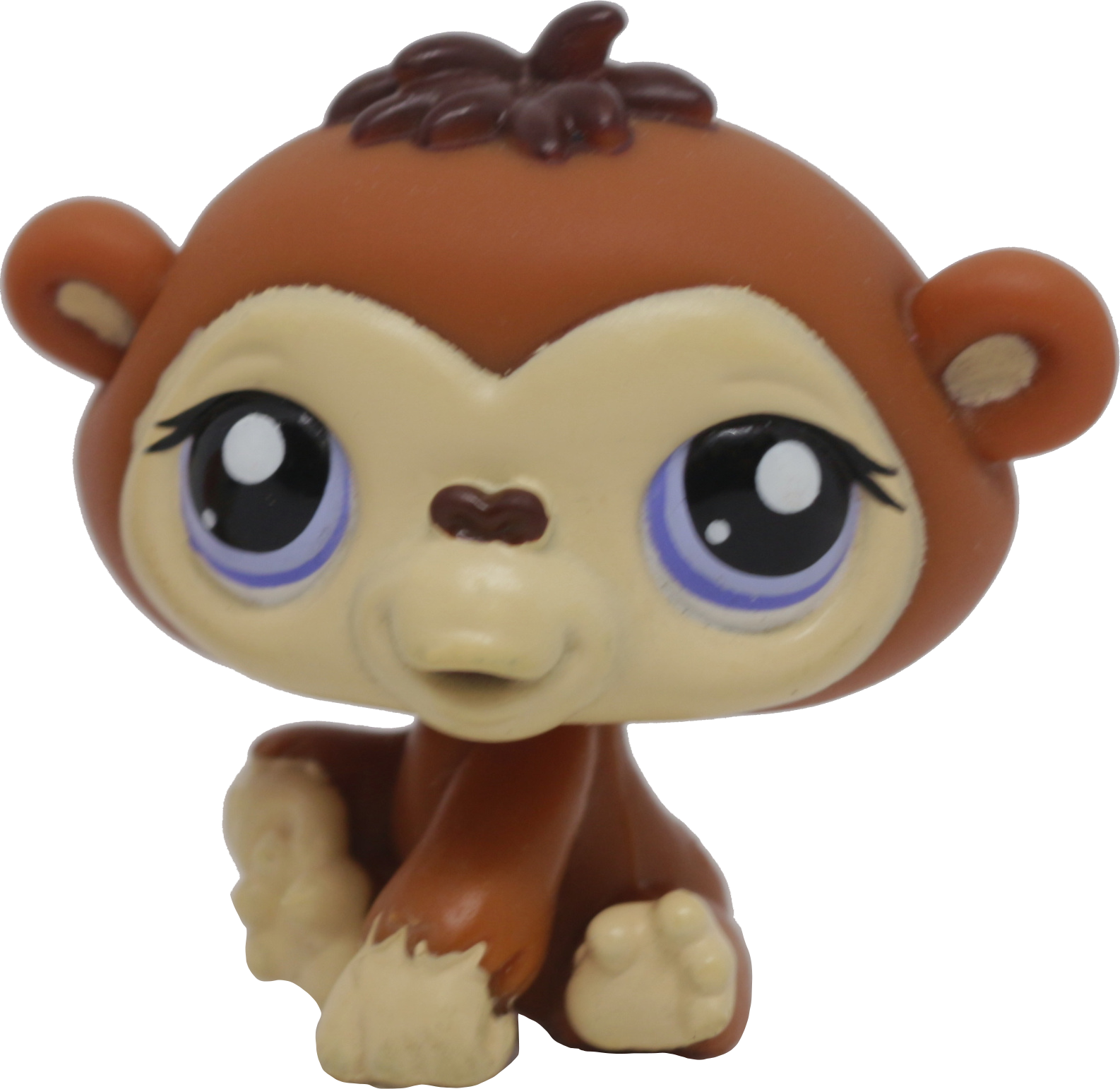 #1347 Chimpanzee