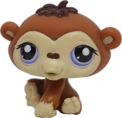 #1347 Chimpanzee