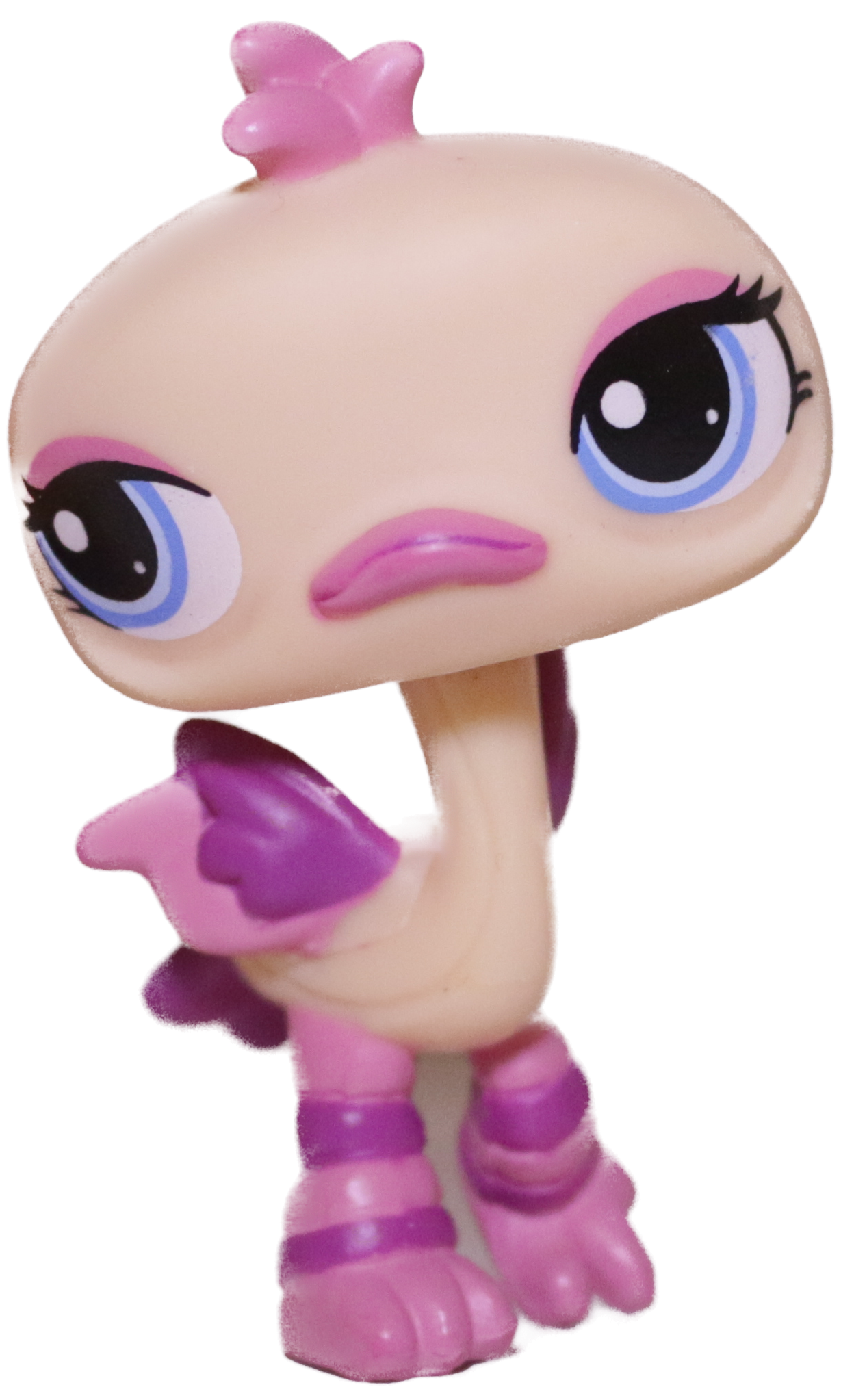 #1416 Ostrich