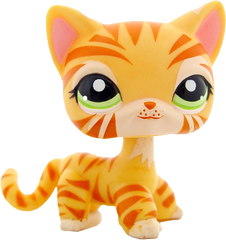 #1451 Shorthair Cat