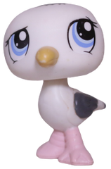 #1456 Seagull