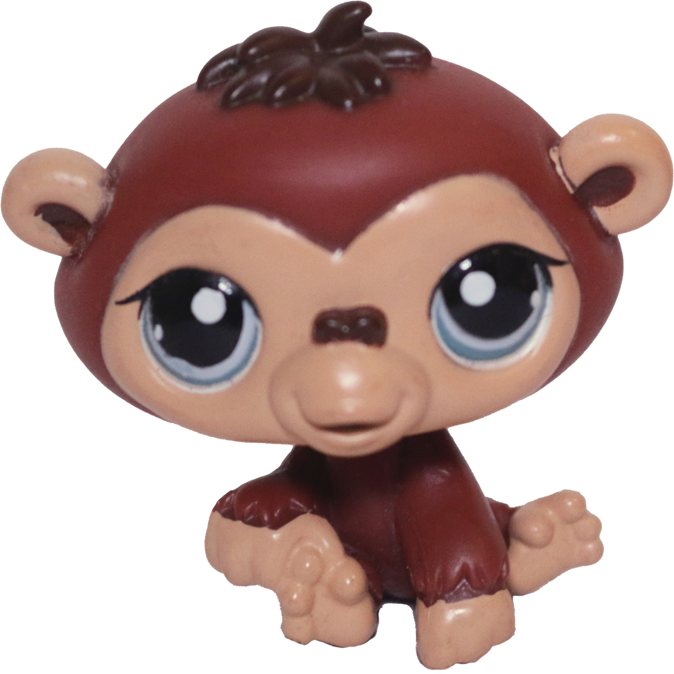 #1510 Chimpanzee