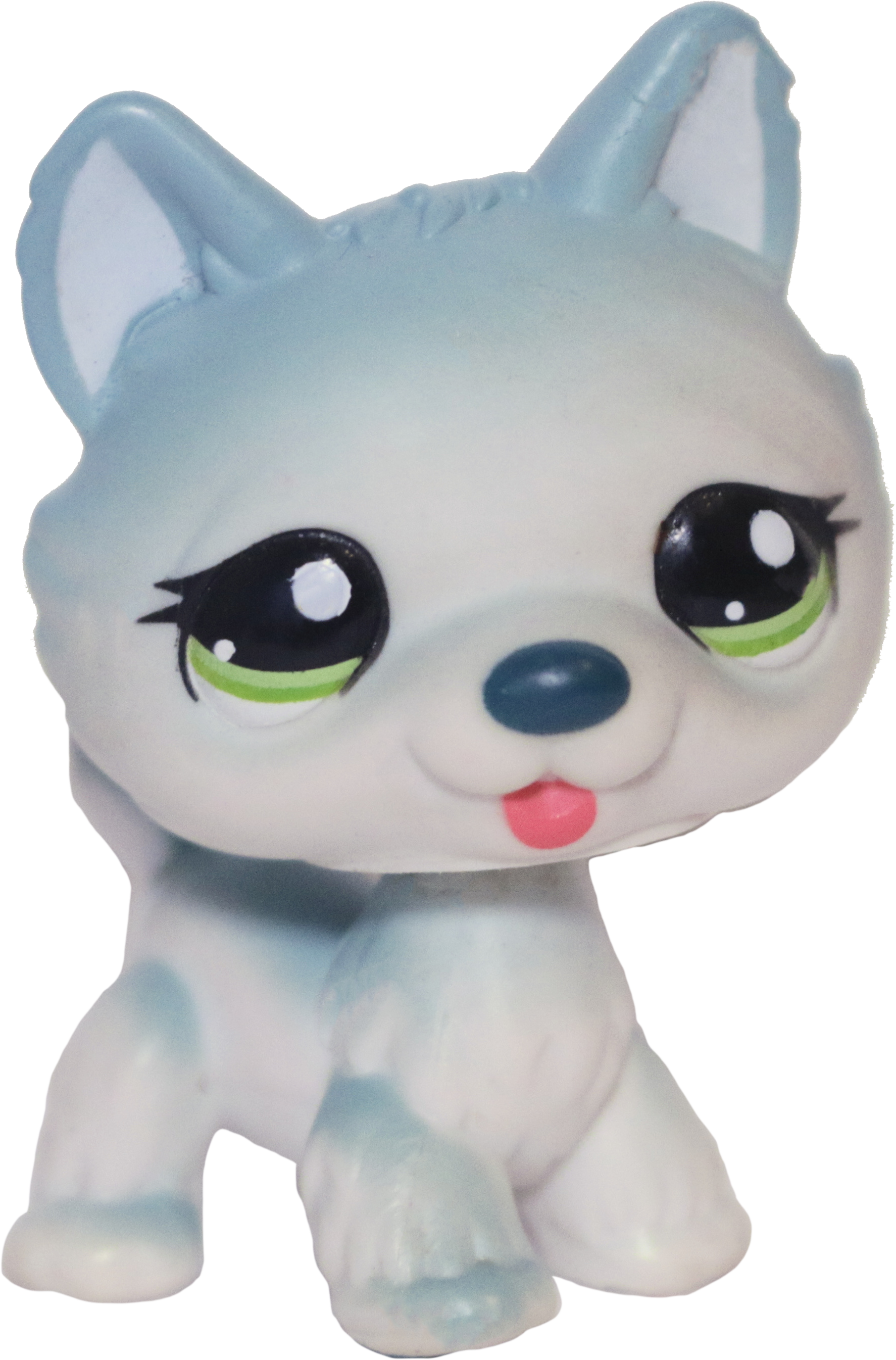 #1563 Husky