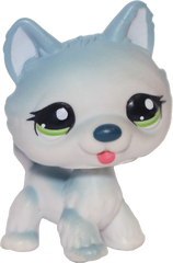 #1563 Husky