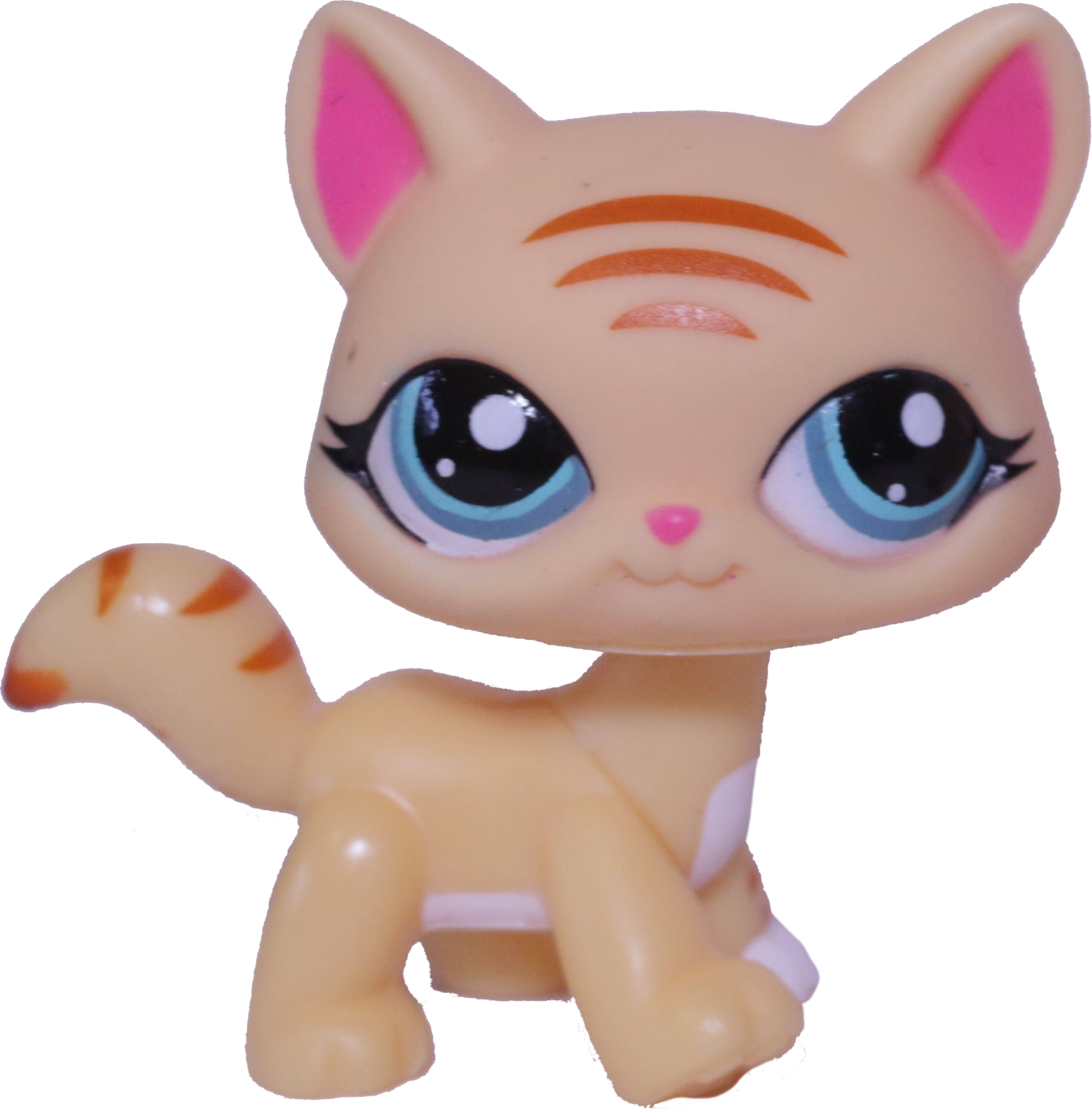 #1572 Destiny Cat