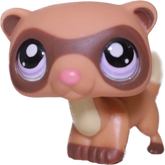 #1612 Ferret