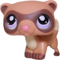 #1612 Ferret