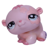 #1658 Hamster