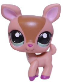 #1677 Deer