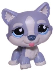 #1684 Husky