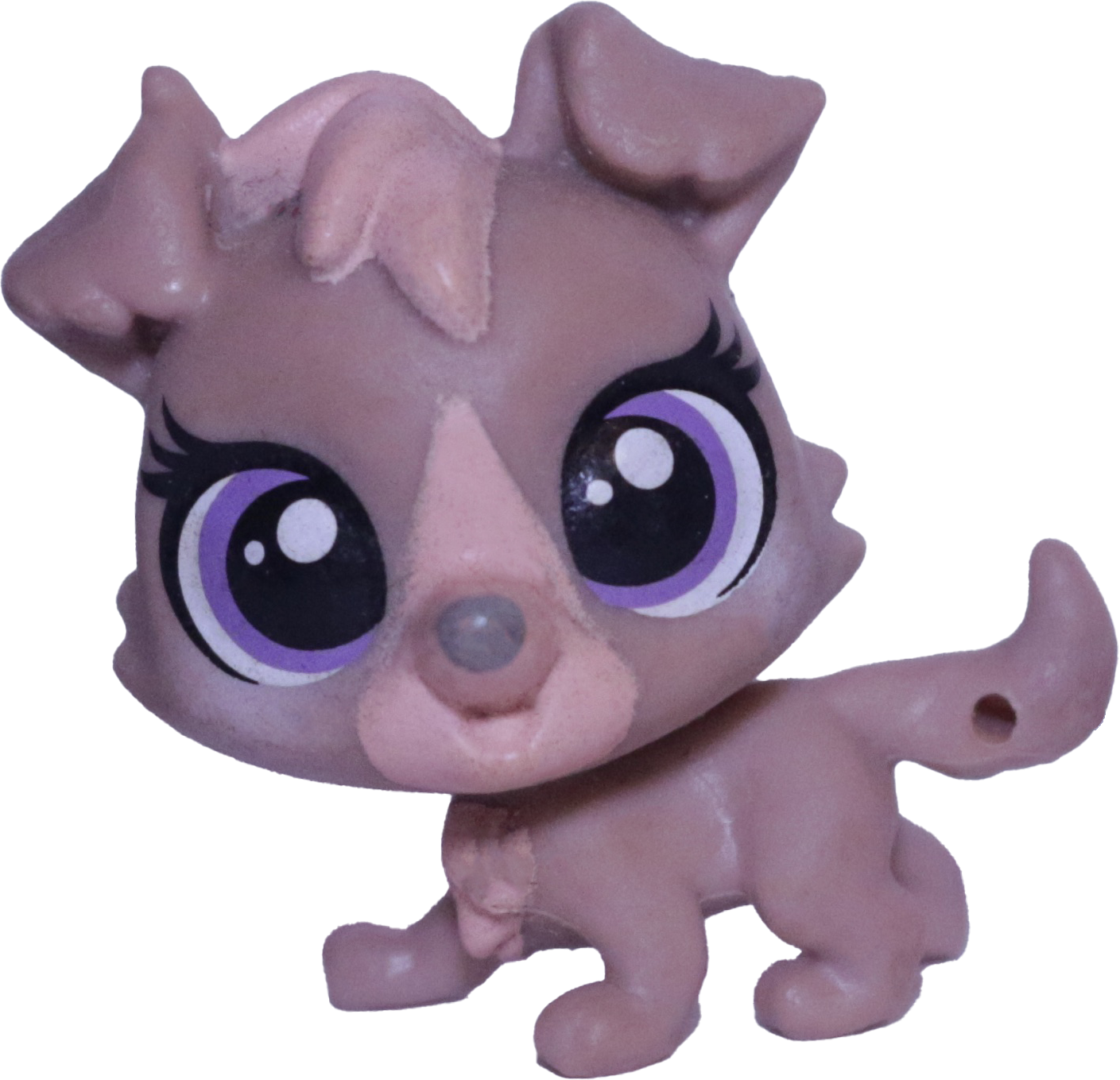 #169 Mini Puppy