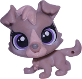 #169 Mini Puppy
