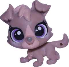 #169 Mini Puppy