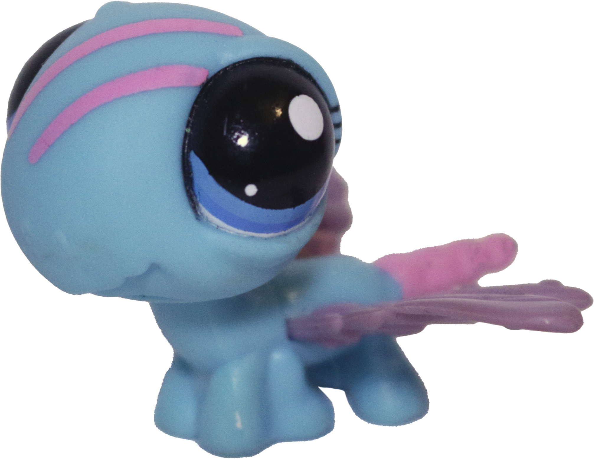 #1725 Dragonfly