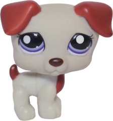 #1743 Jack Russell