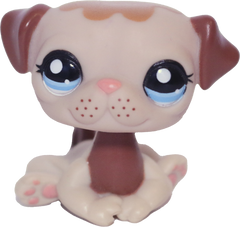 #1753 Pug