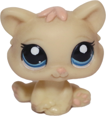 #1779 Kitten